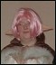 Groupe Ragnarok Online, avec Aideen, Sag et Pirotess entre autres